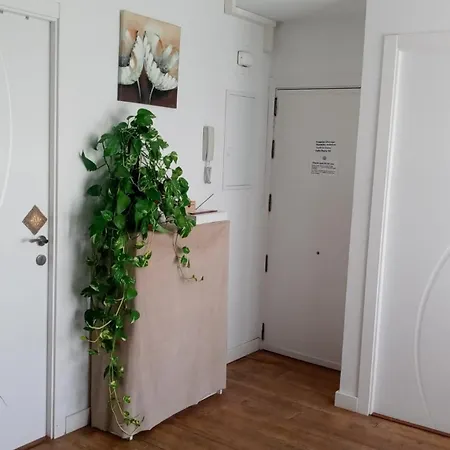 Roberta's Homestay szállás