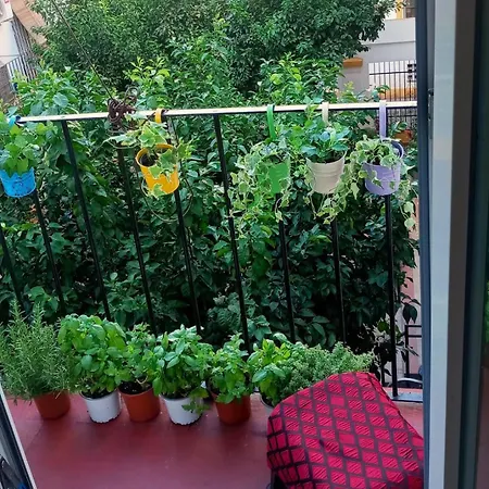 Homestay szállás Roberta's